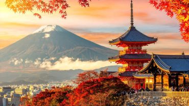 Japonya Turu