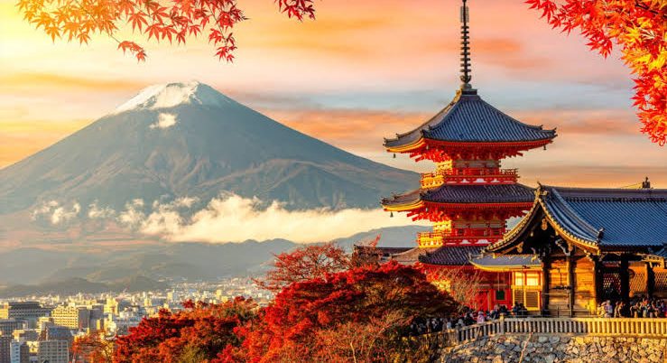 Japonya Turu